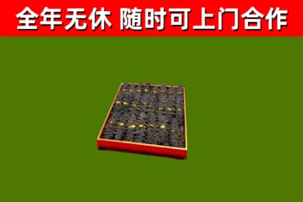 河池市回收海参